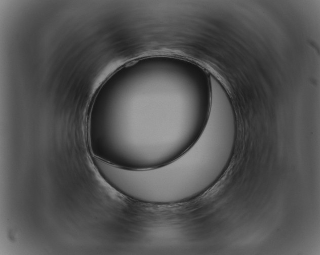 X0000093211054200709261421