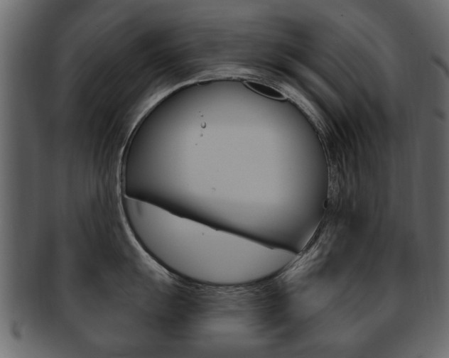 X0000093211055200709261421