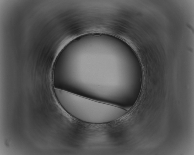 X0000093211056200709261421