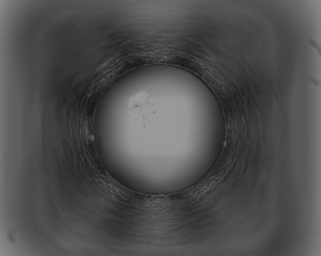 X0000093211058200709261421