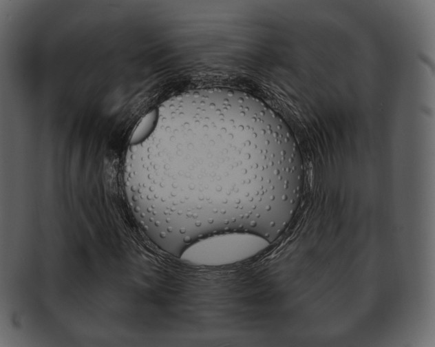 X0000093211059200709261421