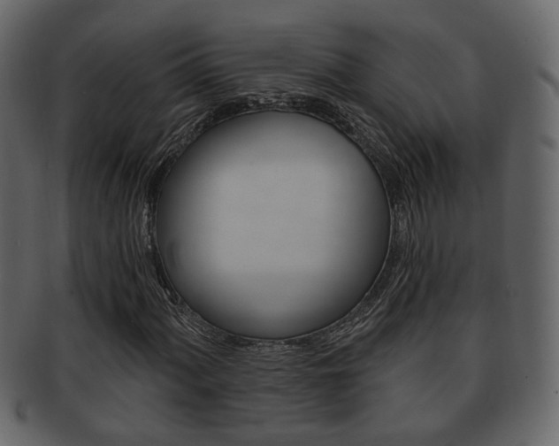 X0000093211060200709261421