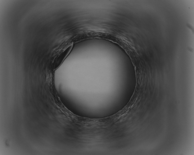 X0000093211061200709261421