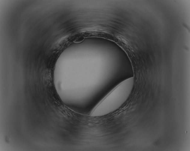 X0000093211062200709261421