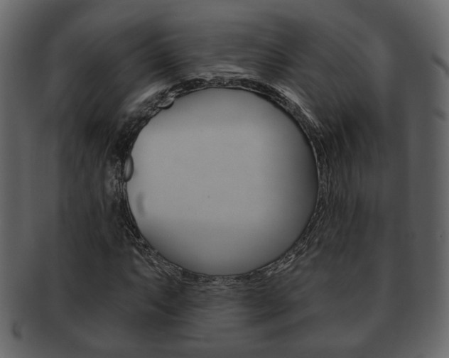 X0000093211063200709261421