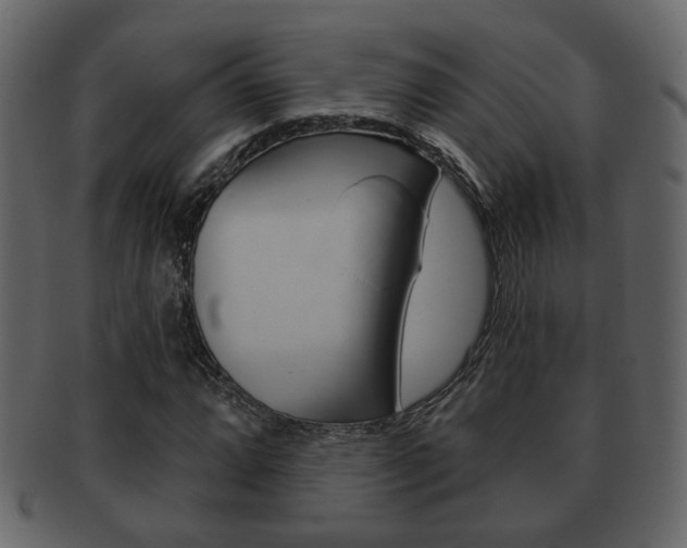 X0000093211064200709261421