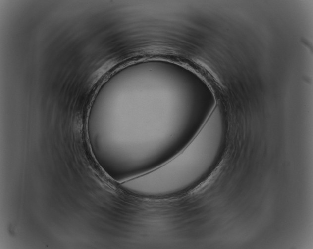 X0000093211065200709261421