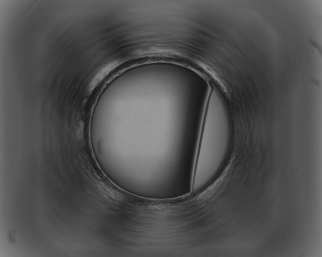 X0000093211066200709261421