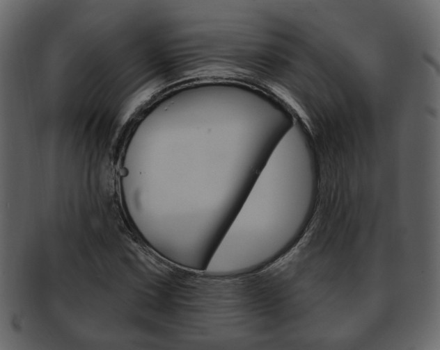 X0000093211067200709261421