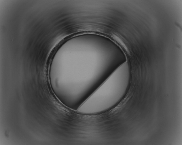 X0000093211068200709261421