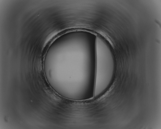 X0000093211069200709261421