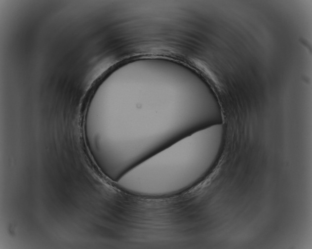 X0000093211071200709261421