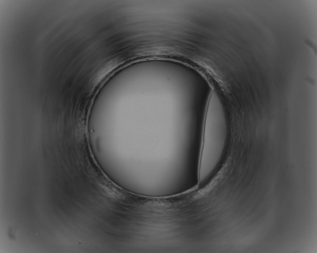 X0000093211073200709261421