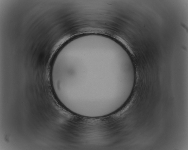 X0000093211074200709261421
