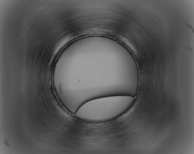 X0000093211075200709261421