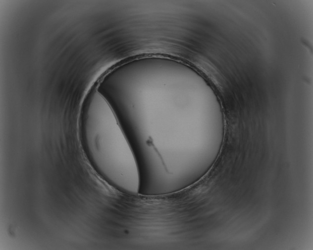 X0000093211076200709261421