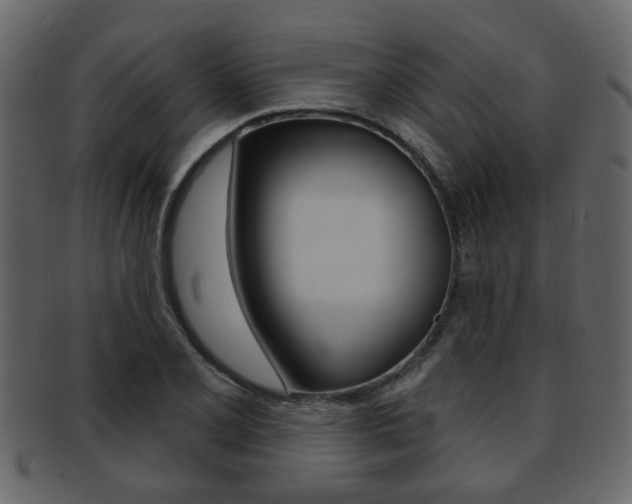 X0000093211077200709261421