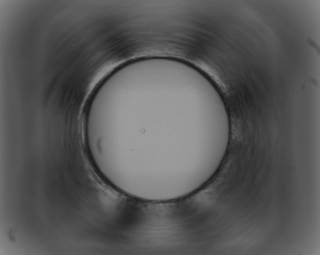 X0000093211078200709261421