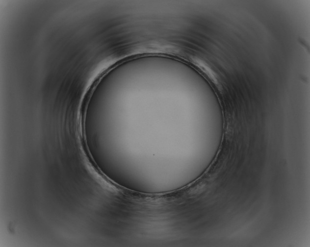 X0000093211080200709261421