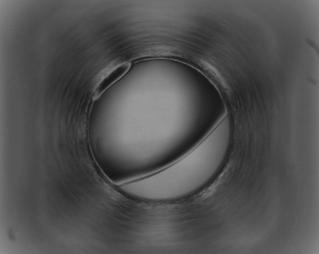 X0000093211081200709261421