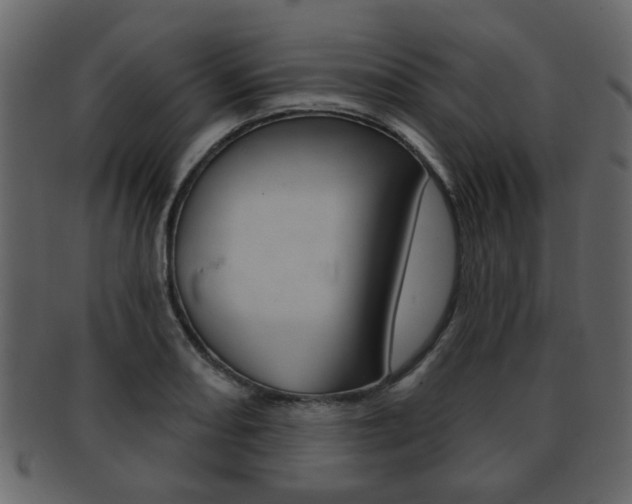 X0000093211082200709261421