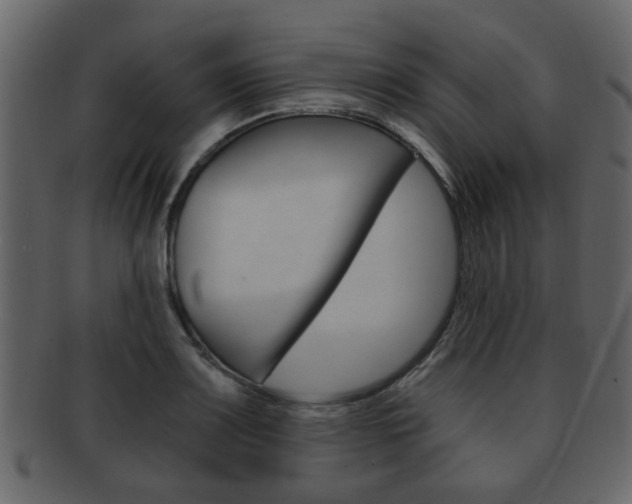 X0000093211083200709261421