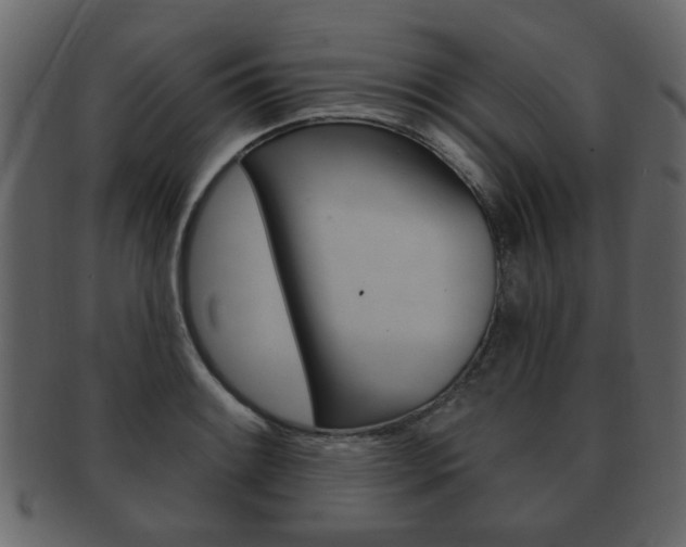 X0000093211084200709261421