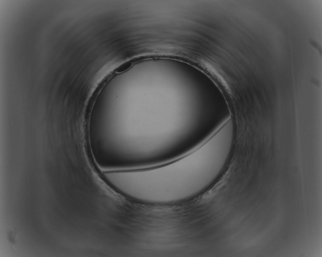 X0000093211085200709261421