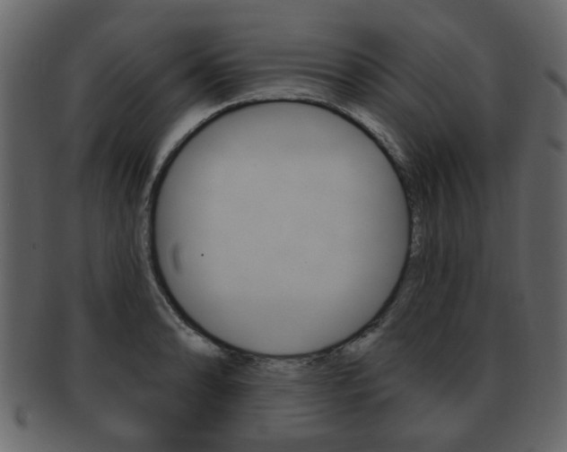 X0000093211086200709261421