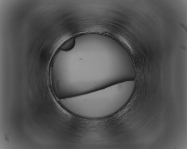 X0000093211087200709261421