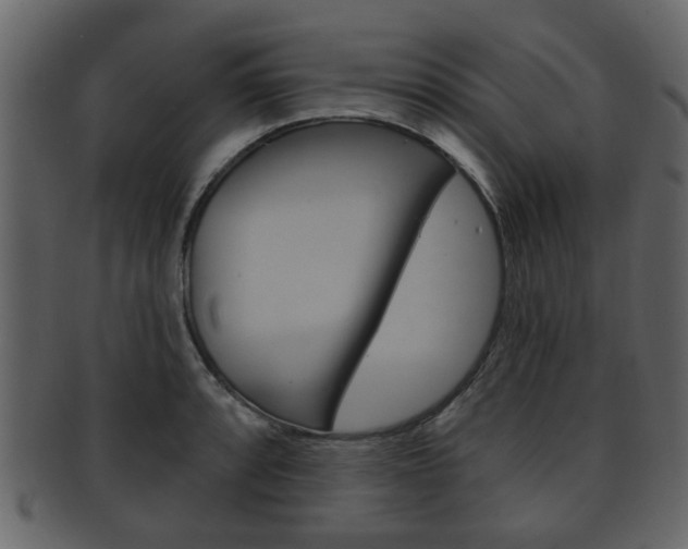 X0000093211088200709261421