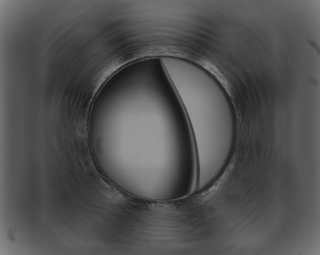 X0000093211089200709261421