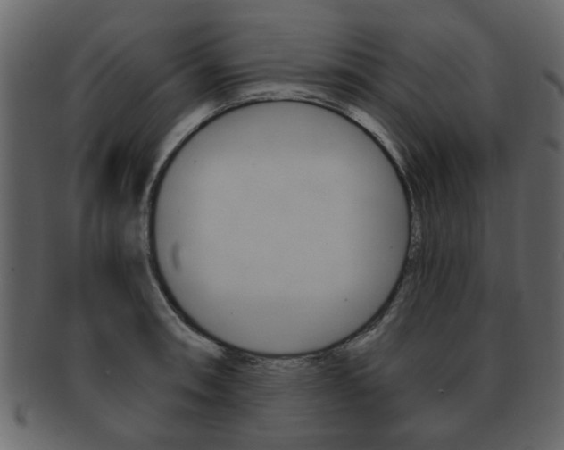 X0000093211090200709261421