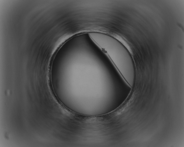 X0000093211093200709261420