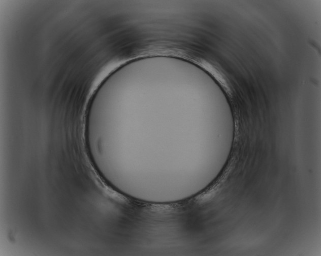 X0000093211094200709261420