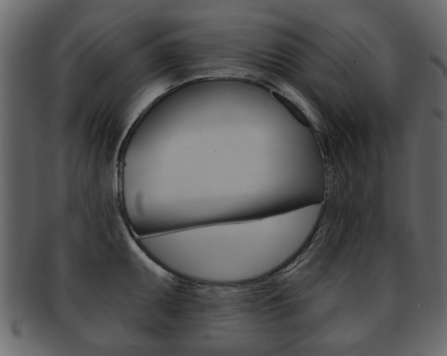 X0000093211095200709261420