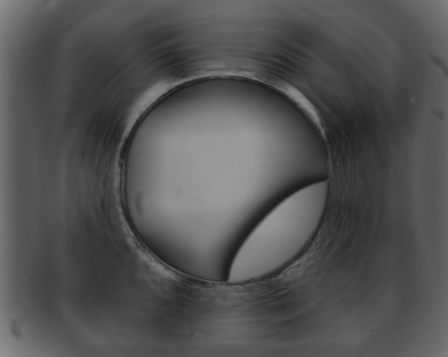 X0000093211096200709261420