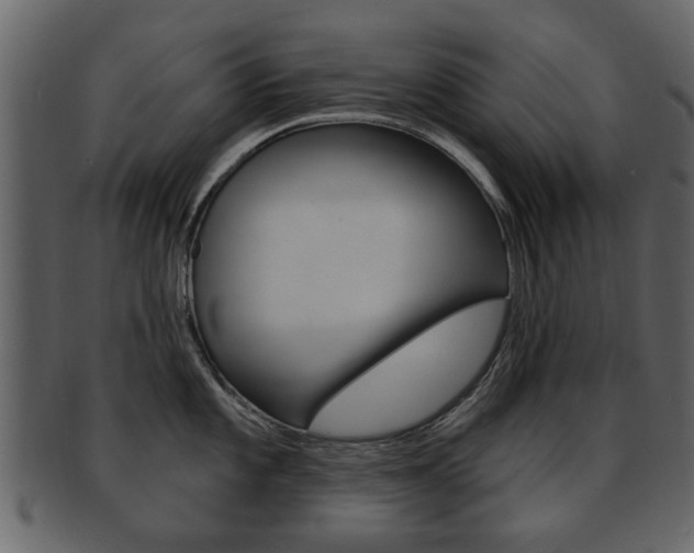 X0000093211101200709261420