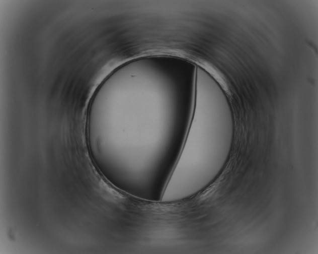 X0000093211102200709261420