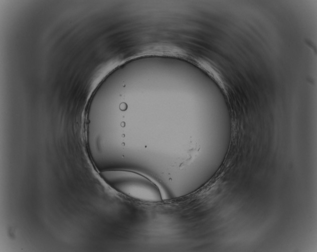 X0000093211103200709261420
