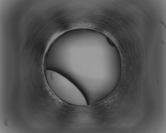 X0000093211104200709261420
