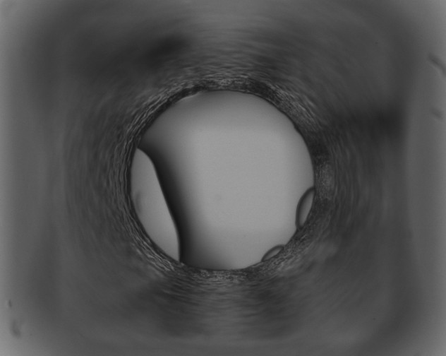 X0000093211105200709261420