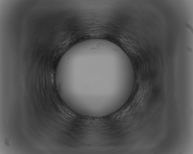 X0000093211106200709261420