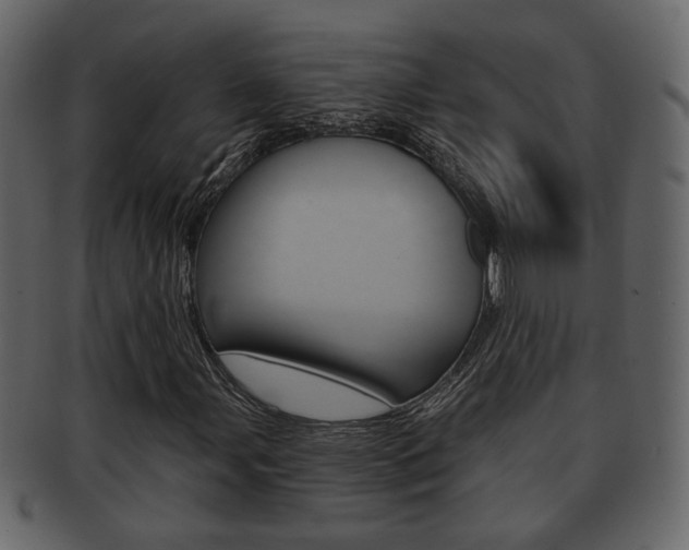 X0000093211107200709261420