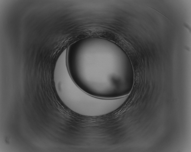 X0000093211108200709261420