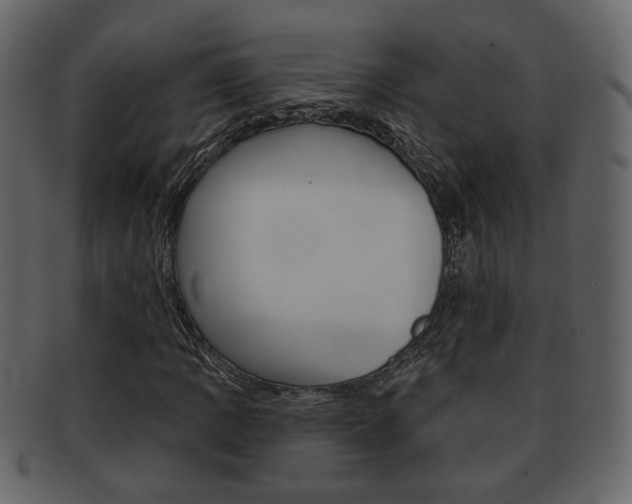 X0000093211109200709261420