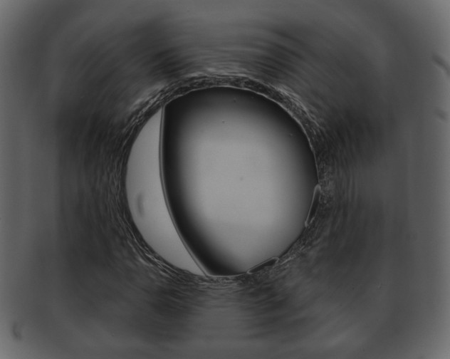 X0000093211110200709261420