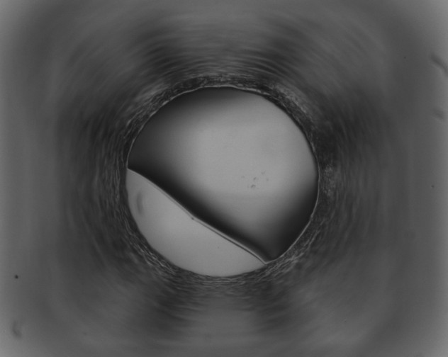 X0000093211111200709261420