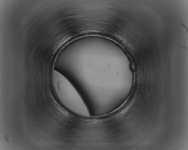 X0000093211113200709261420
