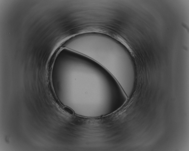 X0000093211116200709261420
